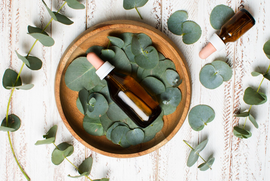 Huile Essentielle d'Eucalyptus de Madagascar